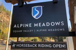 Alpine Meadows